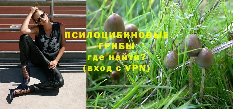 Псилоцибиновые грибы MAGIC MUSHROOMS  блэк спрут зеркало  Миньяр  где найти  